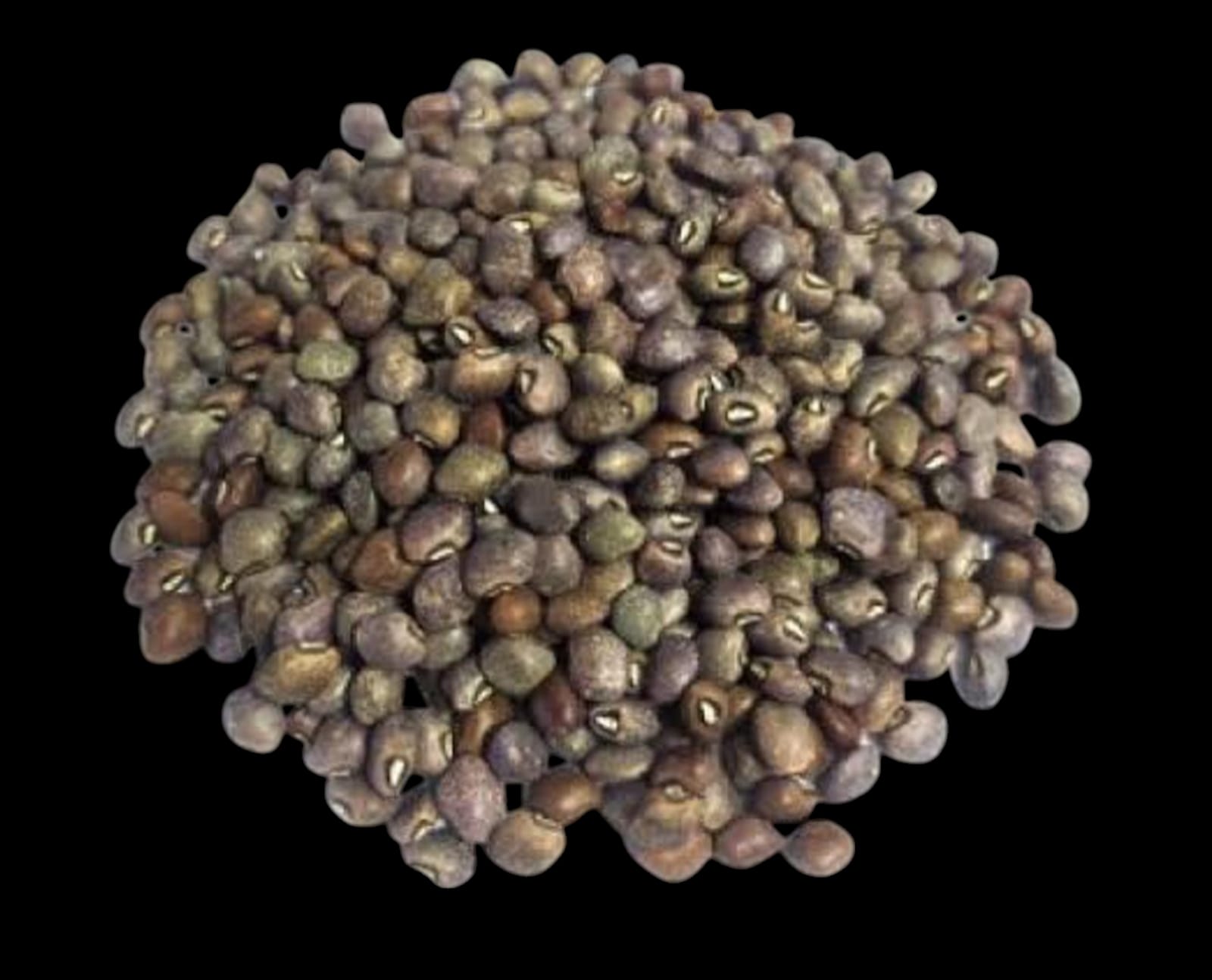 Helon Dal-1Kg / ফেলন ডাল-১ কেজি